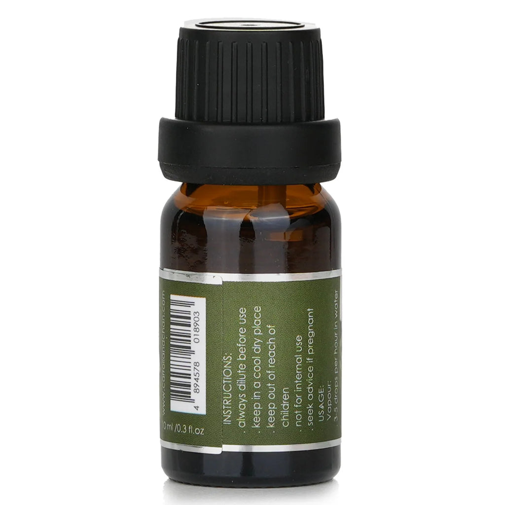 Rosal Fragrance Oil 10ml L60668