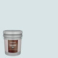 Satin Exterior Paint (5-Gallon) C310589