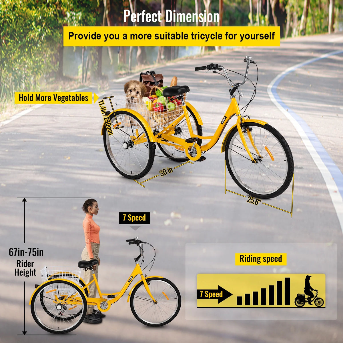 Adult Tricycle 7 Speed 26in Adjustable Trike with Bell, Brake System Basket B236634