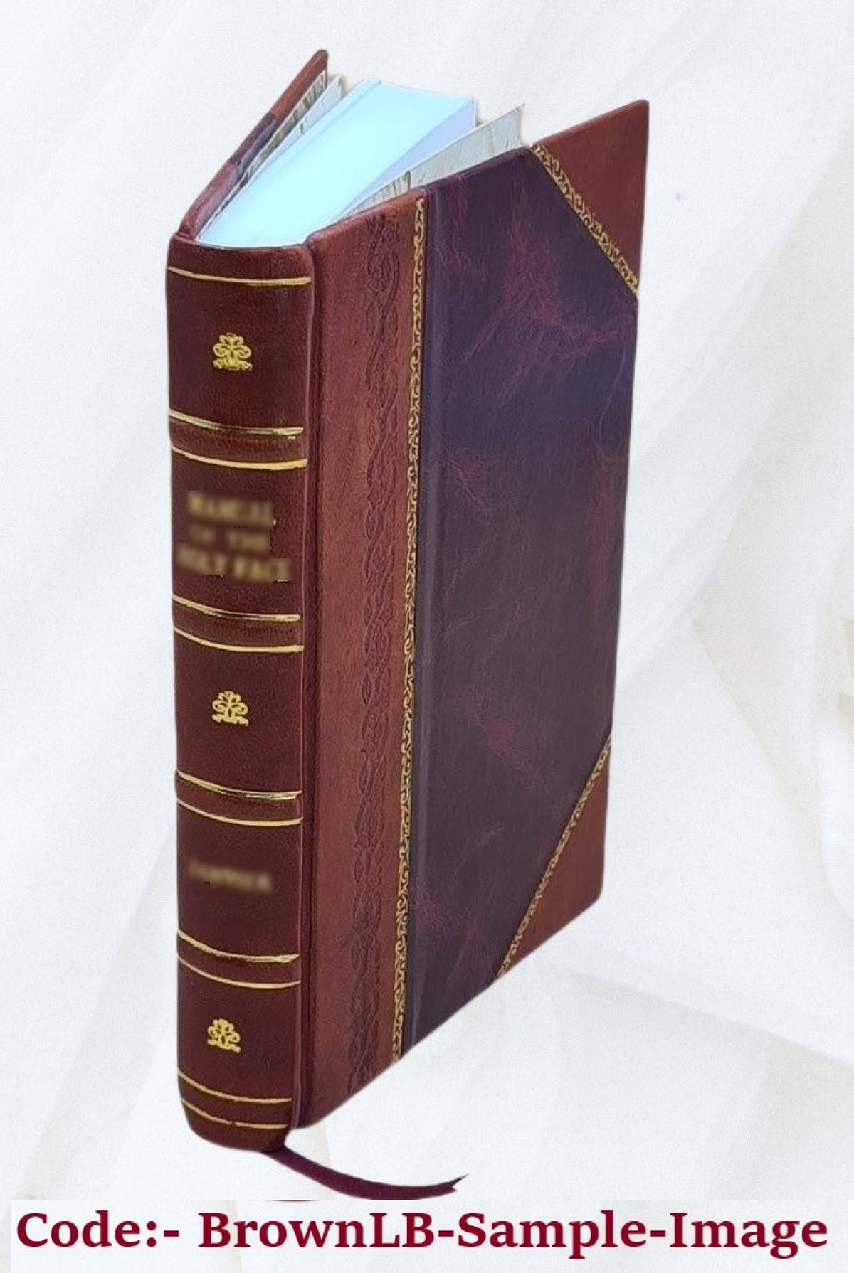 Leather Bound Book N33457