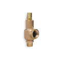 Safety Relief Valve, 1 x 1-1/4 In, 175 PSI E40517