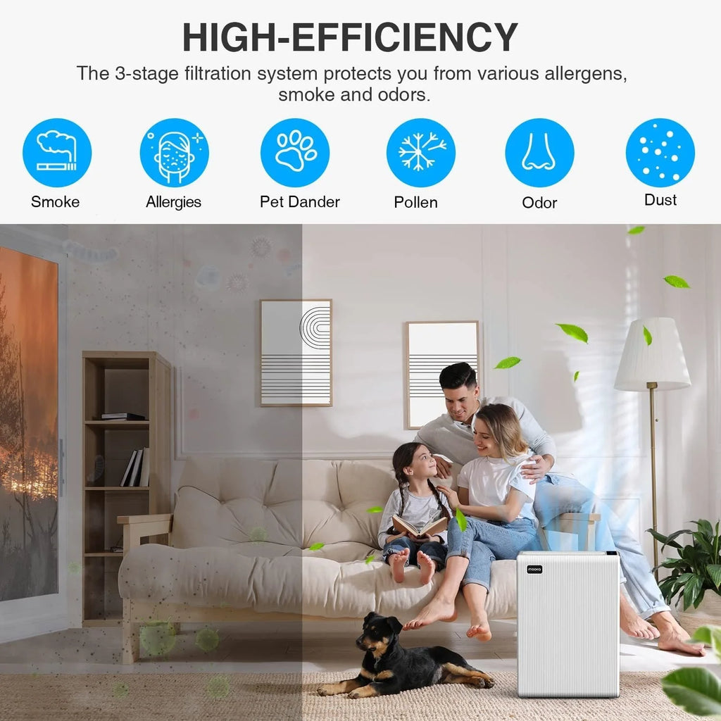 H13 HEPA Air Filter for Home Large Room up to 969ft² C207