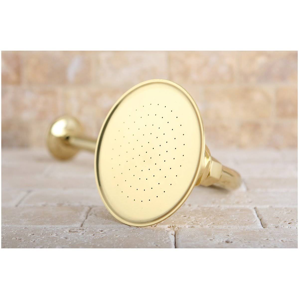 Satin Nickel Showerhead with 12inch Shower Arm P94258