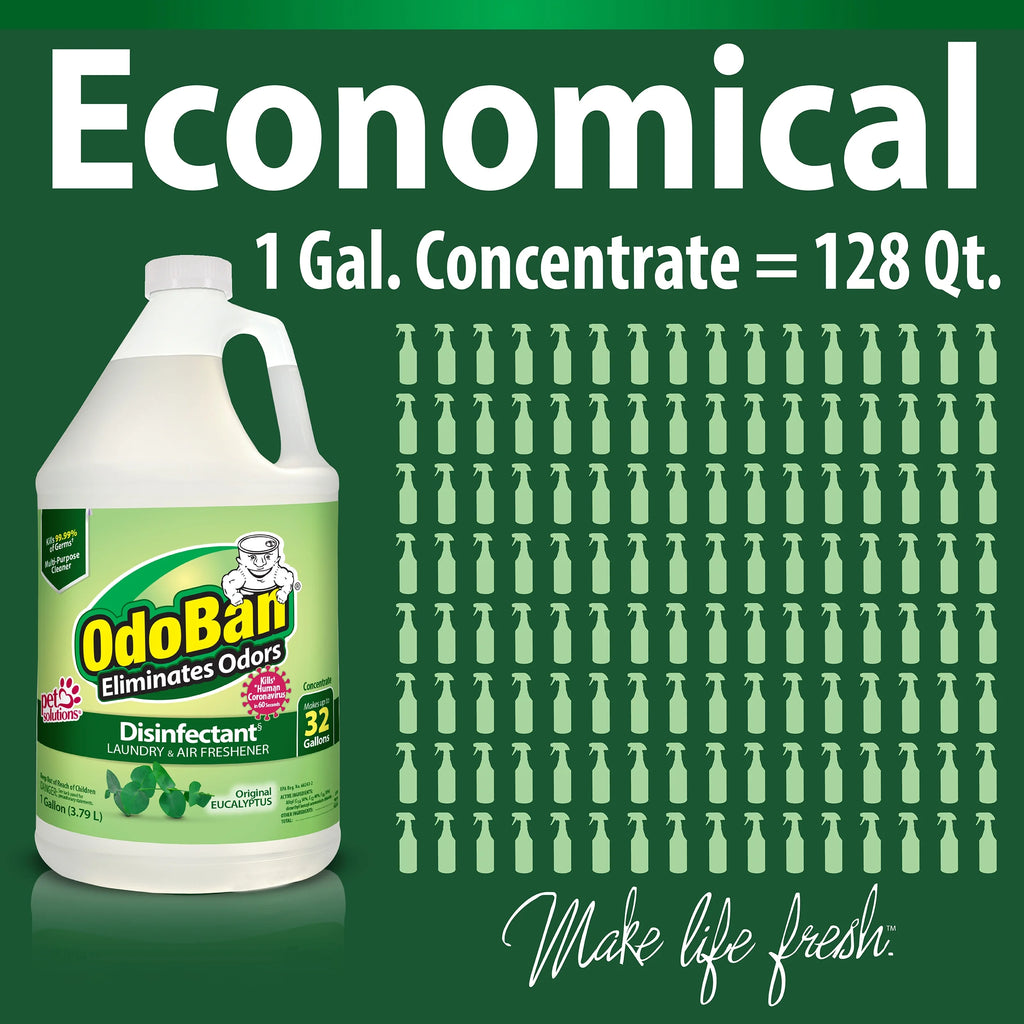 1 Gallon Multipurpose Cleaner Concentrate, 32oz Ready-to-Use, 4oz Travel Spray, Eucalyptus Scent F20899