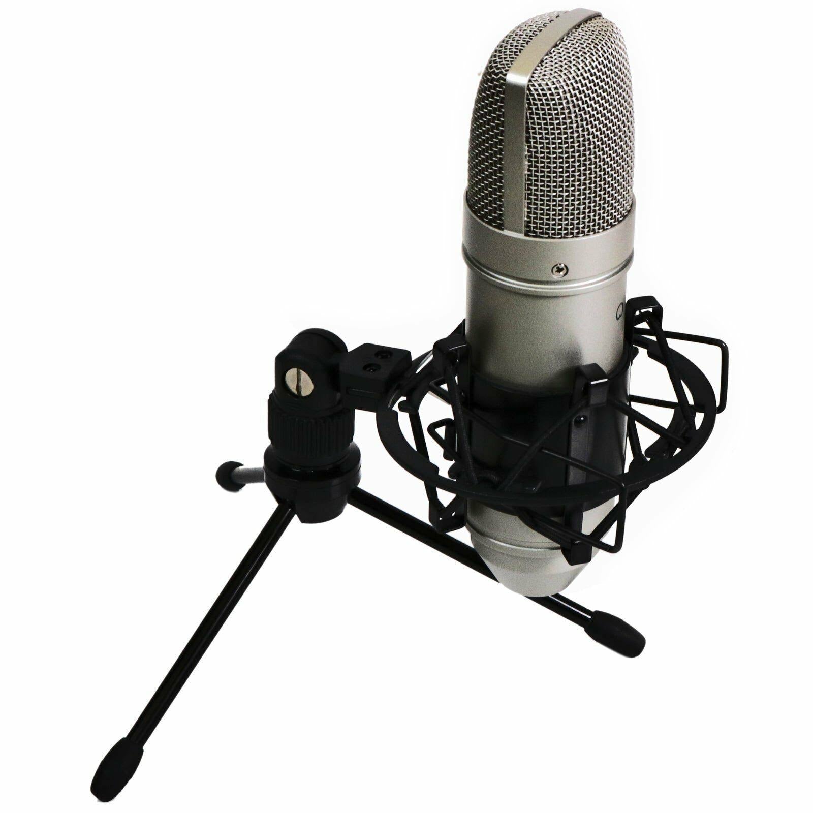 TM-80 Microphone Z742