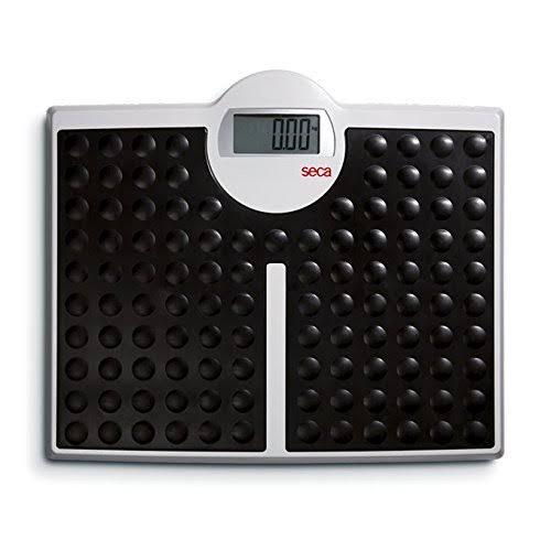 Flat Scale with High Capacity M15892
