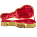 Archtop Tweed Case Mandolin I784