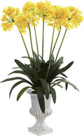 Yellow African Lily with Urn A304697