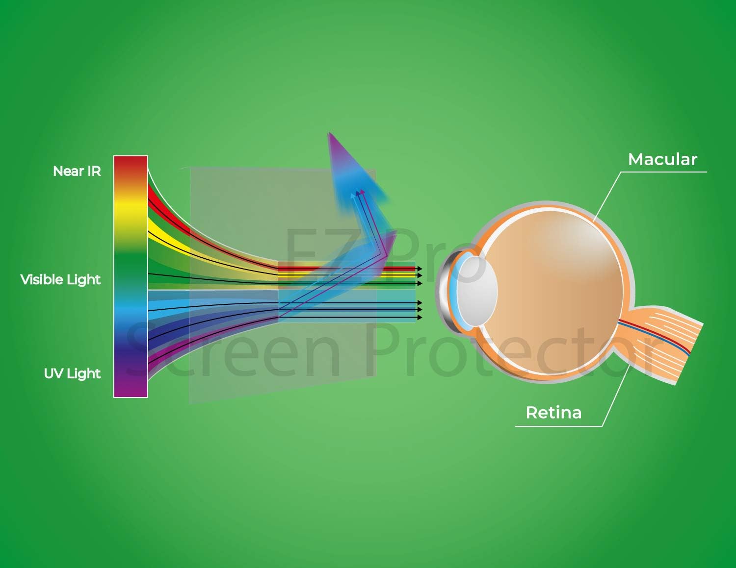 Anti Blue Light Screen Filter for 23 and 24 Inches Widescreen Computer Monitor, Pack of 2 Y74149