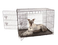 Double Door Metal Dog Crate I314