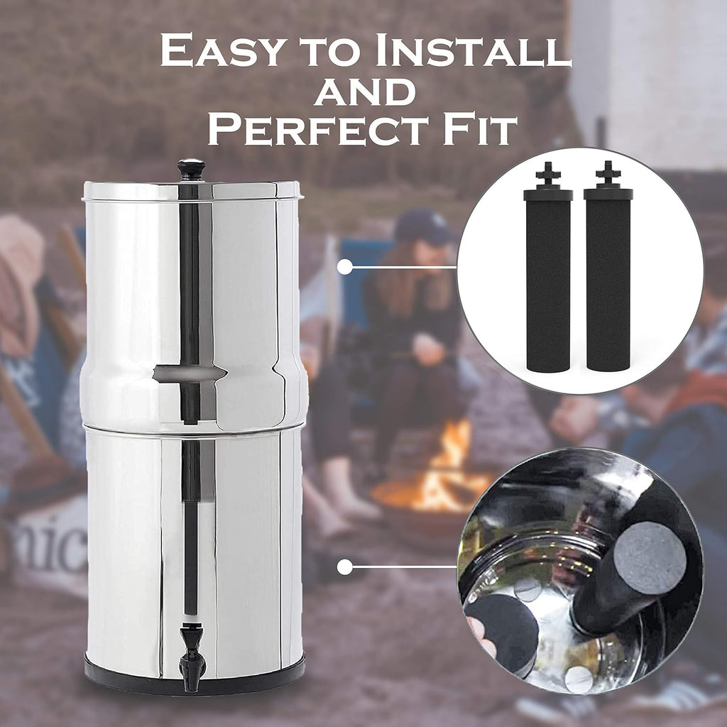 2 Pack Water Filter Purification Elements O205865