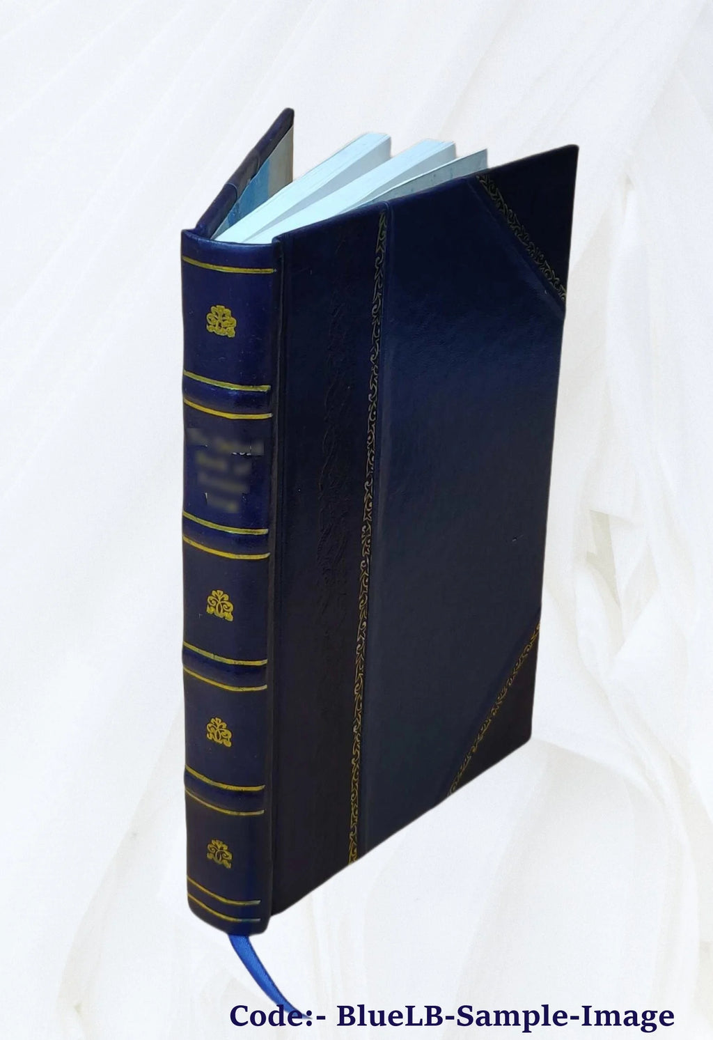 Leather Bound Book N33457