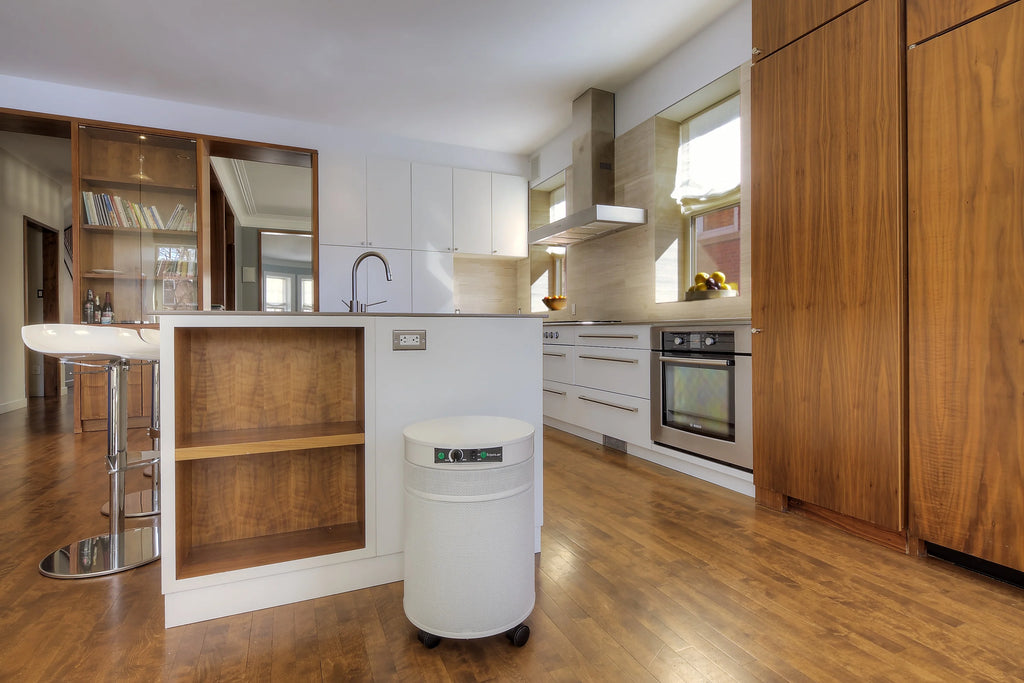 Powdered Coated Galvanized Metal Air Purifier With White Finish T652