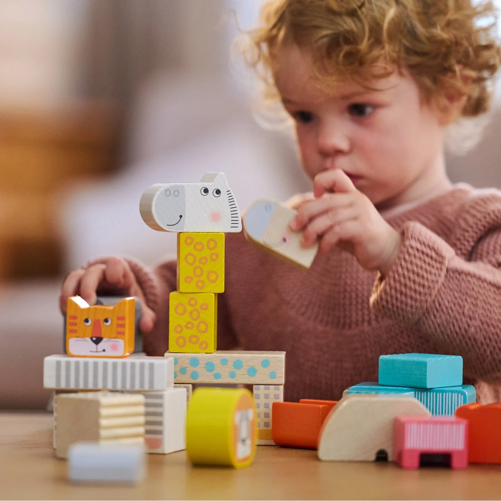 Wooden Blocks - 25 Piece Set J73915