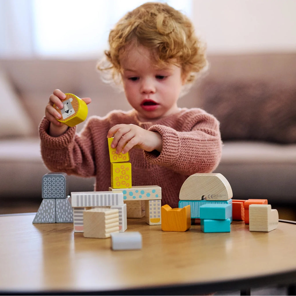 Wooden Blocks - 25 Piece Set J73915