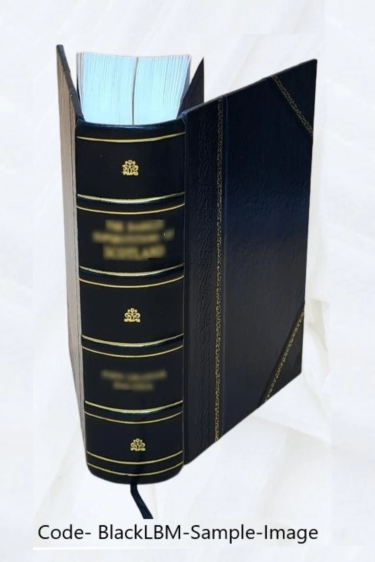 Leather Bound Book M895