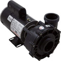 2HP Dual-Speed Spa Pump, 2in. Intake, 2in. Discharge, 230V Z81569