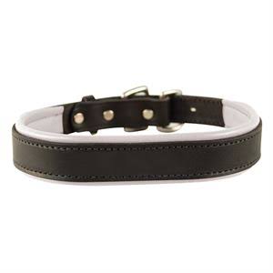Small Padded Leather Dog Collar S455