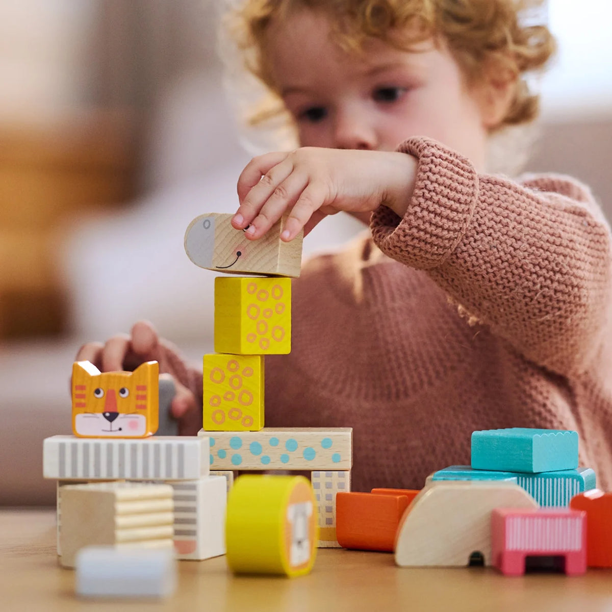 Wooden Blocks - 25 Piece Set J73915