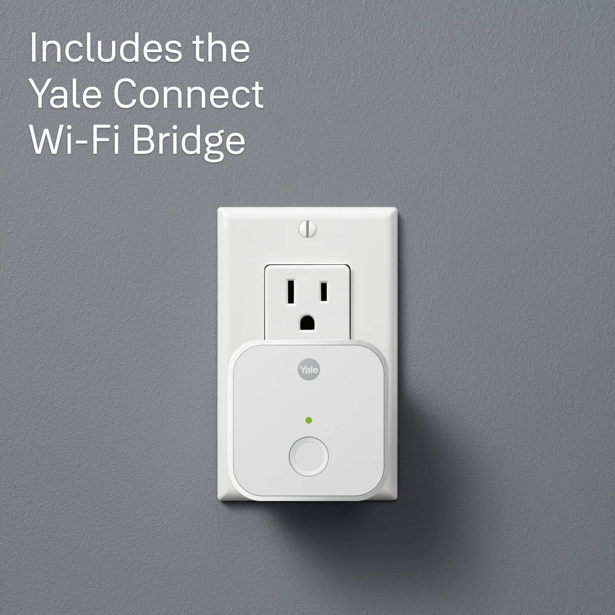 Gray Medium Smart Delivery Box with Wi-Fi X269