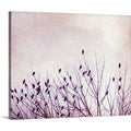 Canvas Photographic Print D4936