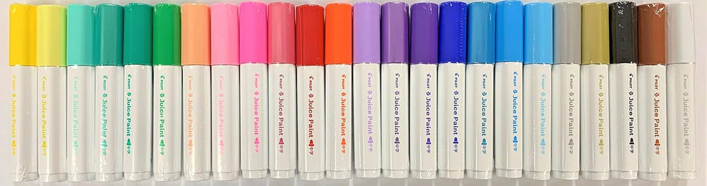 24 Colors Paint Marker Pen Set with Pen Case B3970