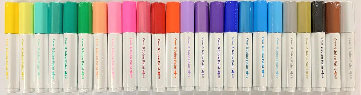 24 Colors Paint Marker Pen Set with Pen Case B3970