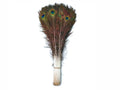 40-45x22 Natural Peacock Tail Eye Feathers H801647