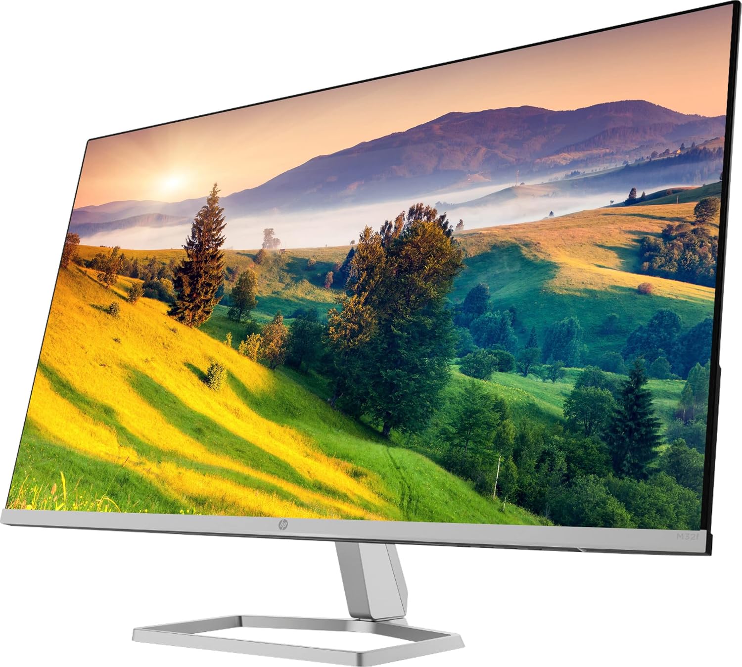 31.5" LED FHD 1920 x 1080 Micro-Edge PC Monitor F45823