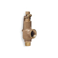 Safety Relief Valve, 2 x 2-1/2 In, 150 PSI P7820