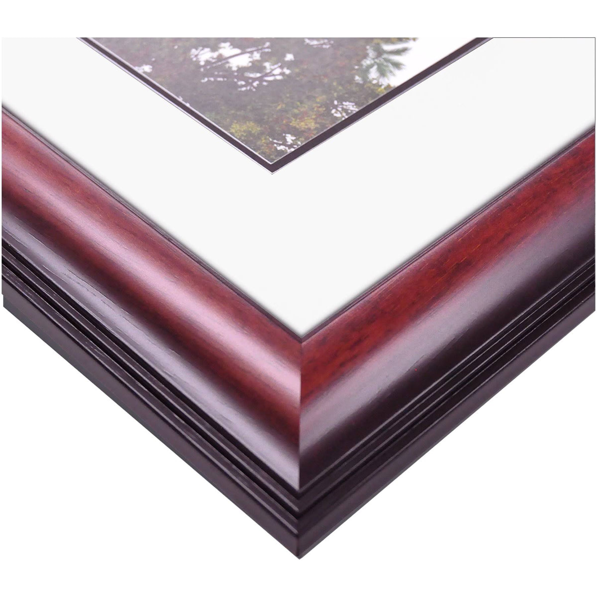 8.5x22 x 11x22 Diploma Frame U91300