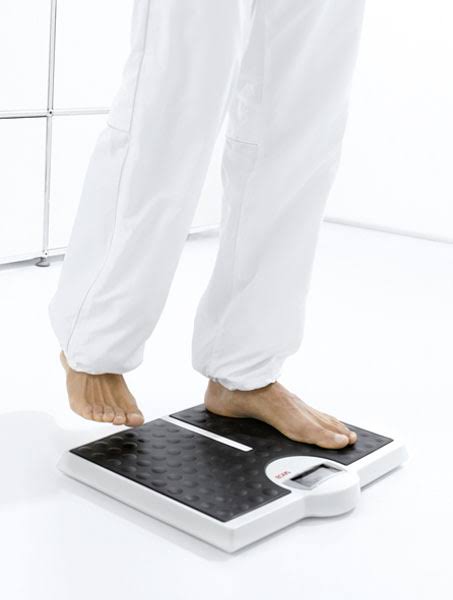 Flat Scale with High Capacity M15892