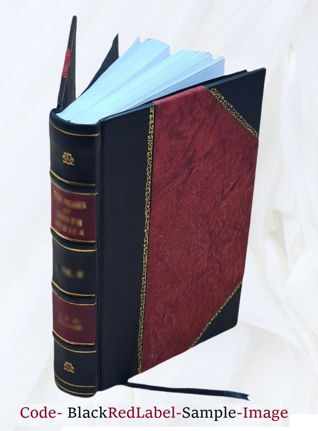 Leather Bound Book N33457