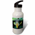 Sports Water Bottle V8717