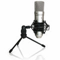 TM-80 Microphone Z742